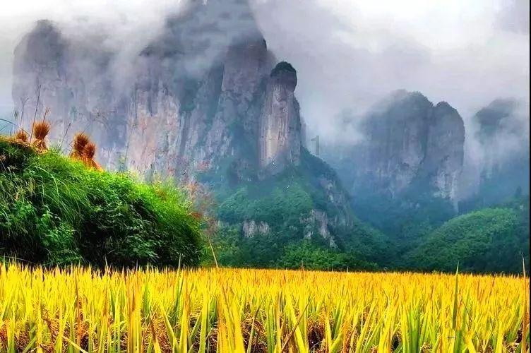 探寻天涯问答平台公务员和五十万你选哪个?为什么?